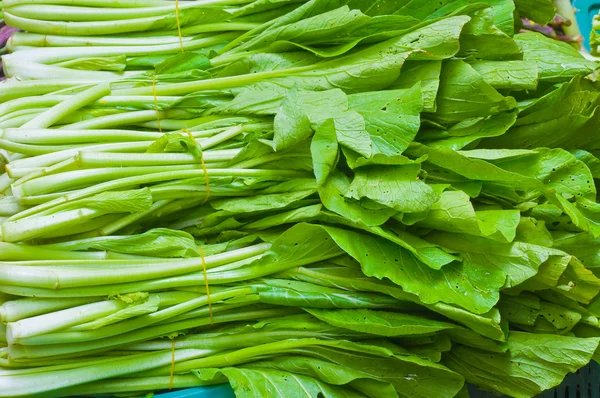 stock image Canton vegetables