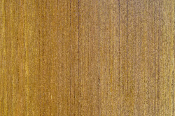 Textura de madera de teca — Foto de Stock