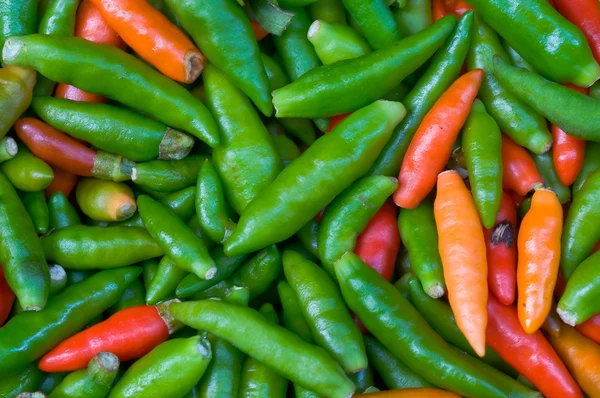 stock image Chili