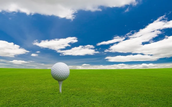 Поле для гольфу — стокове фото