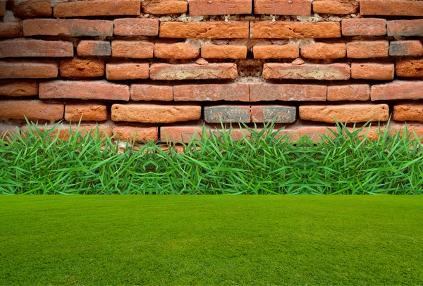 Gammal tegelvägg bakom det gröna gräset — Stockfoto
