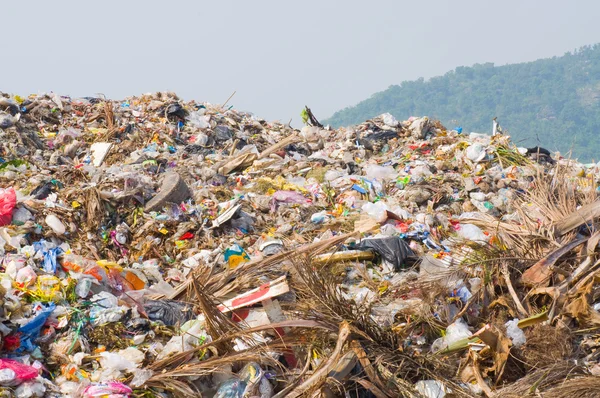 垃圾回收堆 — 图库照片