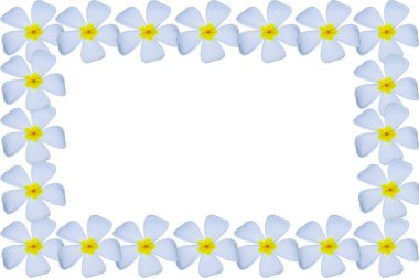 Beyaz bir çerçeve üzerinde izole Tay tapınak çiçek