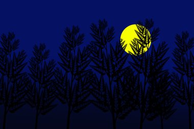 gece ve ağaç gölgesinde moon