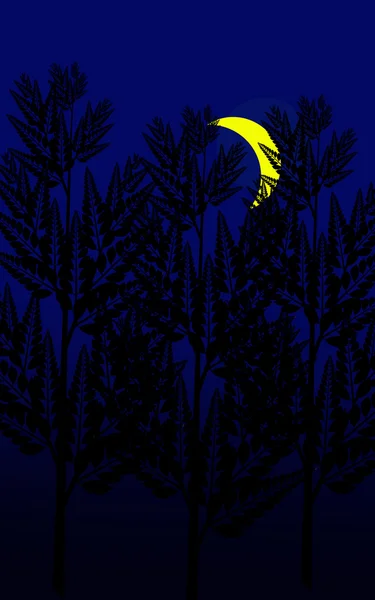 Luna nella notte e ombra dell'albero — Foto Stock