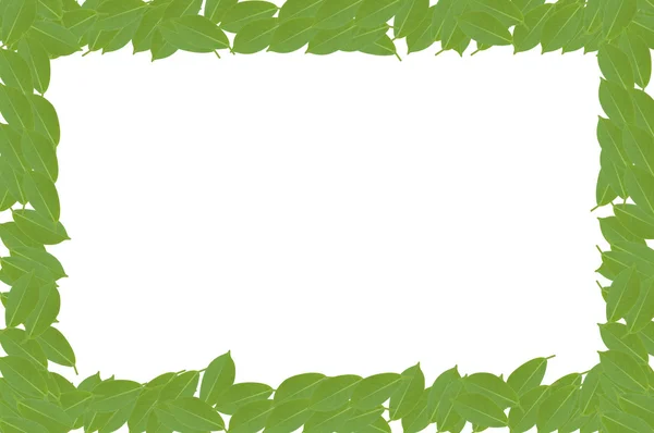 Zöld levél elszigetelt fehér háttér — Stock Fotó