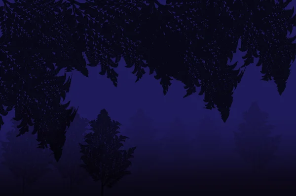 Karanlık ormanda — Stok fotoğraf