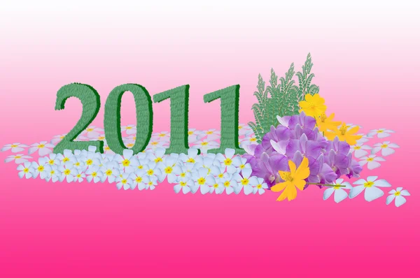 Ano Novo 2011 número — Fotografia de Stock