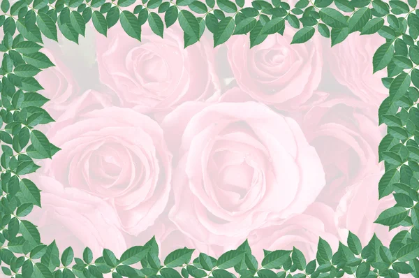 Folha verde isolada no fundo rosa rosa — Fotografia de Stock