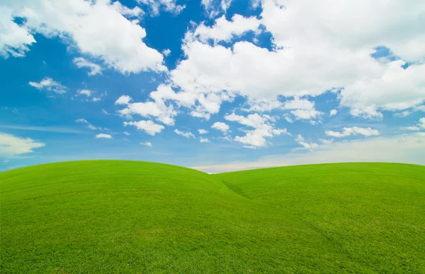 Sininen taivas ja vihreä kenttä — kuvapankkivalokuva