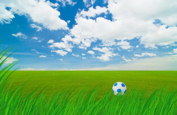 Football in the meadow — Stock Photo, Image