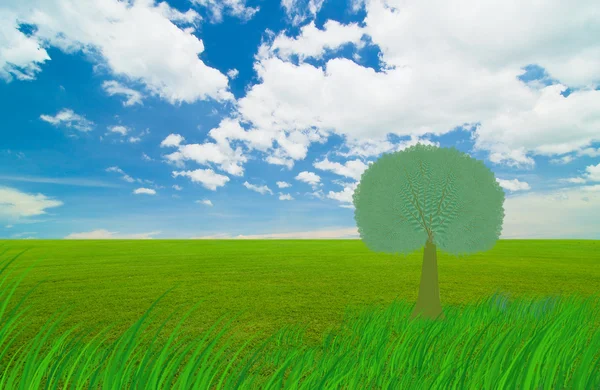 푸른 하늘 아래 초원 — 스톡 사진