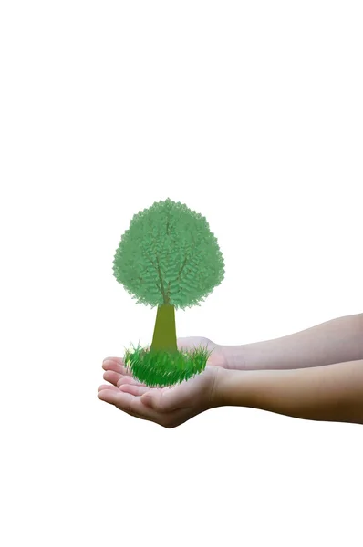 Träd på barnet händer — Stockfoto