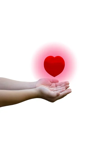Coração Vermelho Isolado Duas Mãos — Fotografia de Stock