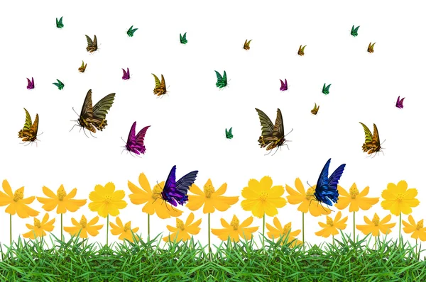 Colorido de borboleta — Fotografia de Stock
