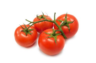 Beyaz arkaplanda domates