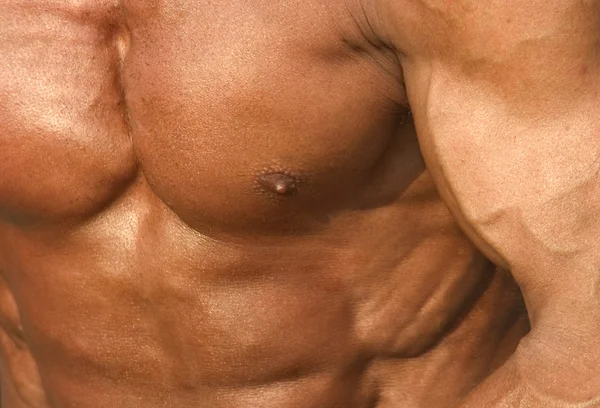 Strong Chest — Stock Photo, Image