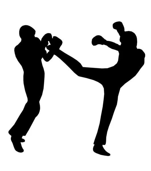 Fight silhouette — Stock Photo, Image