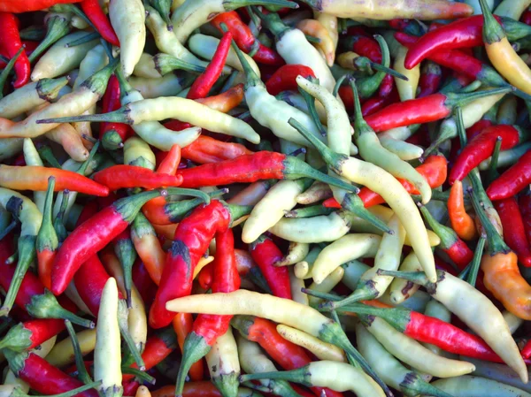 stock image Hot peppers