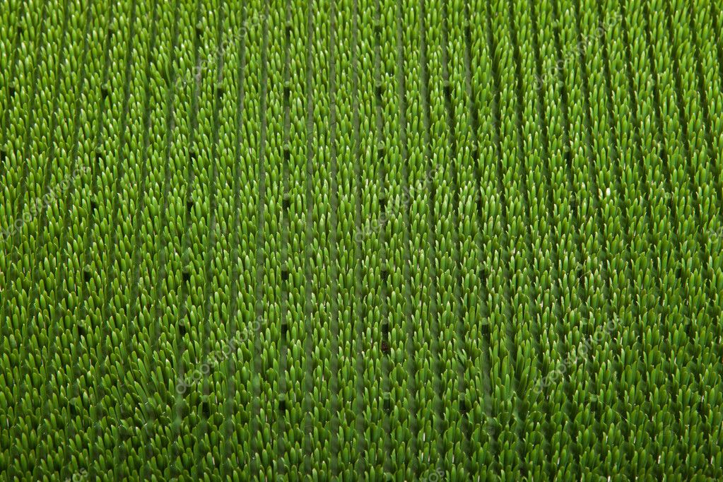 Green carpet close up — Stock Photo © shutswis 5126701