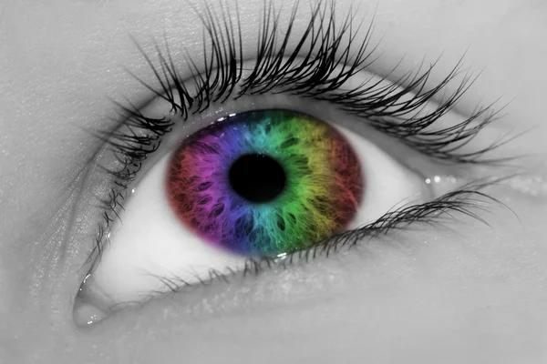 아름 다운 눈 색깔 — 스톡 사진