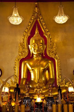 Altın Buddha