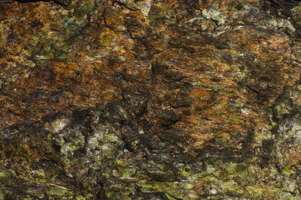 Rock background — Stock Photo, Image