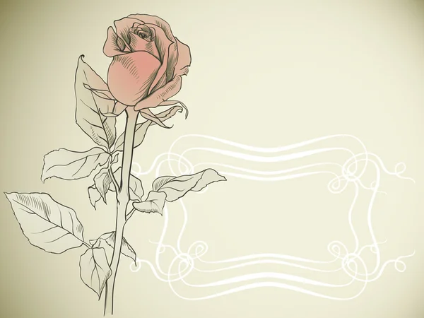Cadre avec rose — Image vectorielle