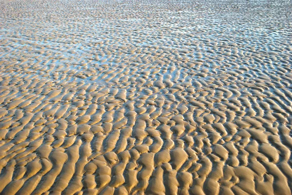 stock image Beach at low tide