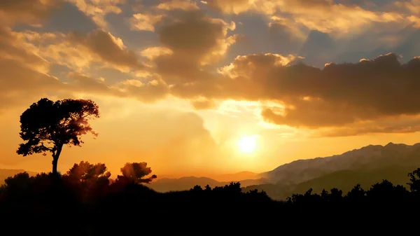 stock image Sunset in shady hills