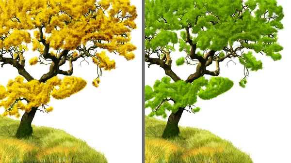 Árvore dourada e árvore verde — Fotografia de Stock