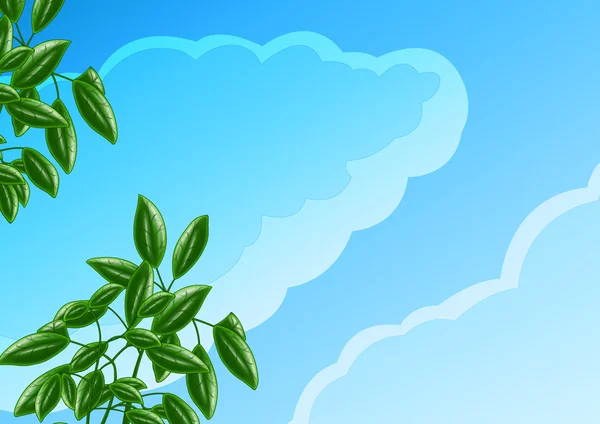 绿色的植物和天空 — 图库照片