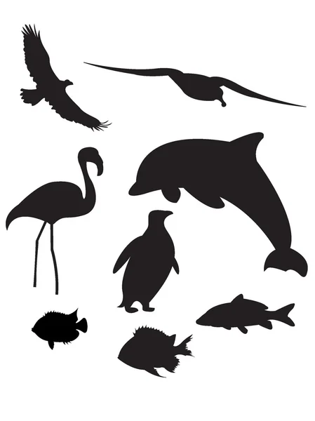 Stock vector Animals