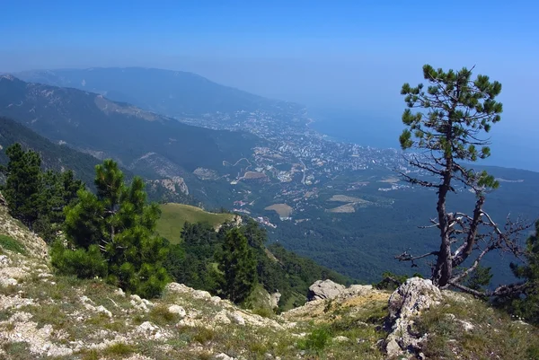 Panorama von Yalta Stockbild