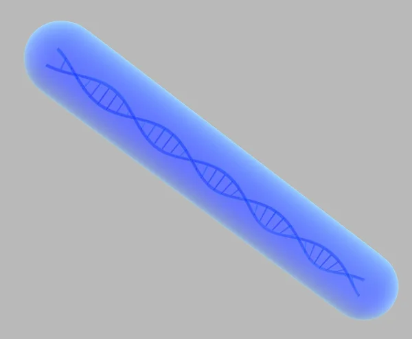 DNA'sı içine tüp bebek — Stok fotoğraf