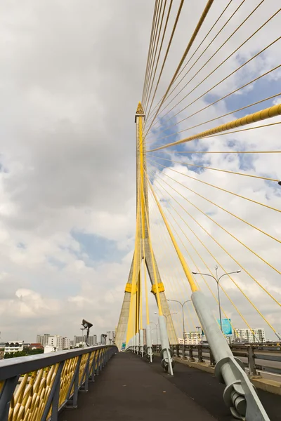 Kabelový most — Stock fotografie