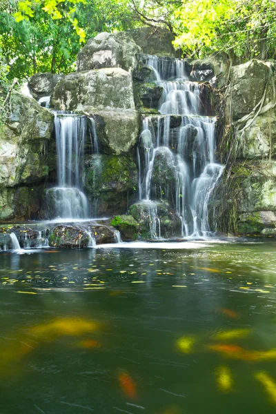 stock image Water fall