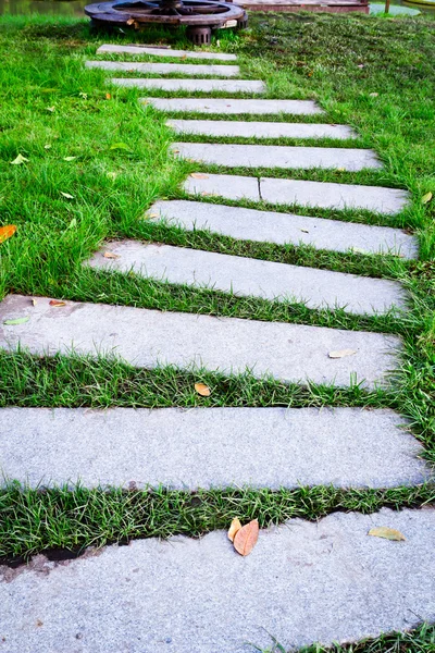 stock image Walking stone