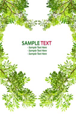 Green leave love heart frame on white background clipart