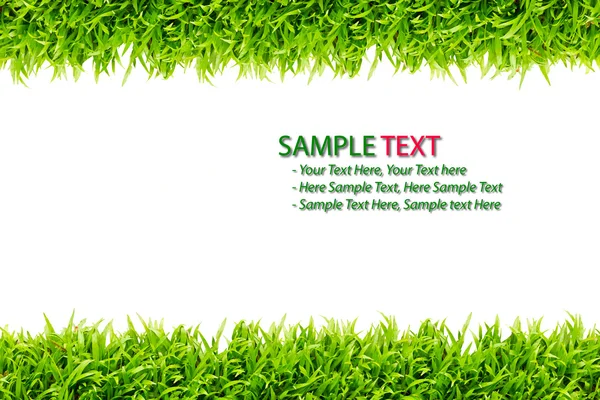 Zelená tráva rám izolované na bílém pozadí — Stock fotografie