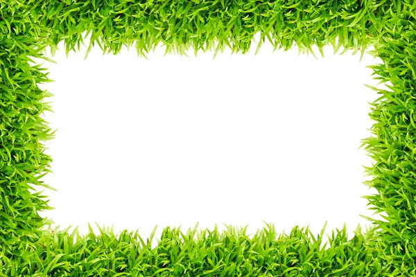 Cadre en herbe verte isolé sur fond blanc — Photo