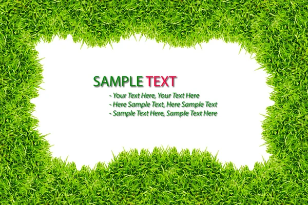 Green Grass frame isolated on white background — Stock Photo, Image