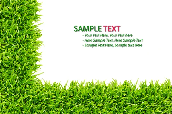 Yeşil çimen çerçeve beyaz arkaplanda izole — Stok fotoğraf