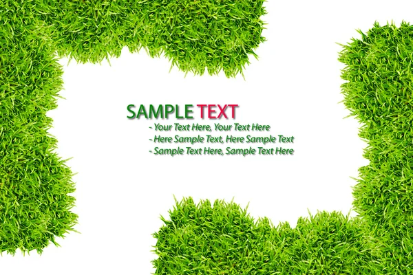 Cadru de iarbă verde izolat pe fundal alb — Fotografie, imagine de stoc