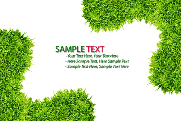 Grünes Gras Rahmen isoliert auf weißem Hintergrund — Stockfoto