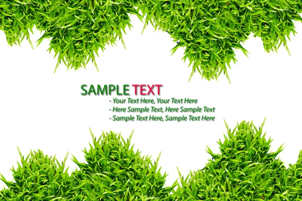 Green Grass frame isolated on white background — Stock Photo, Image