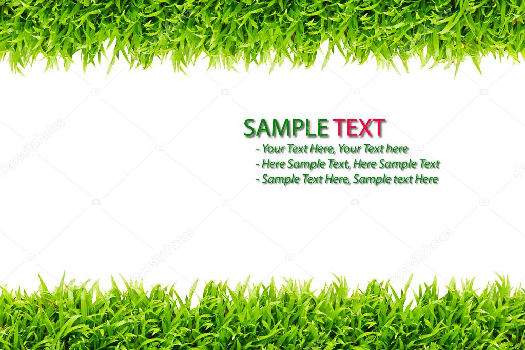 Green Grass frame isolated on white background