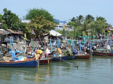 Thai balıkçı tekneleri