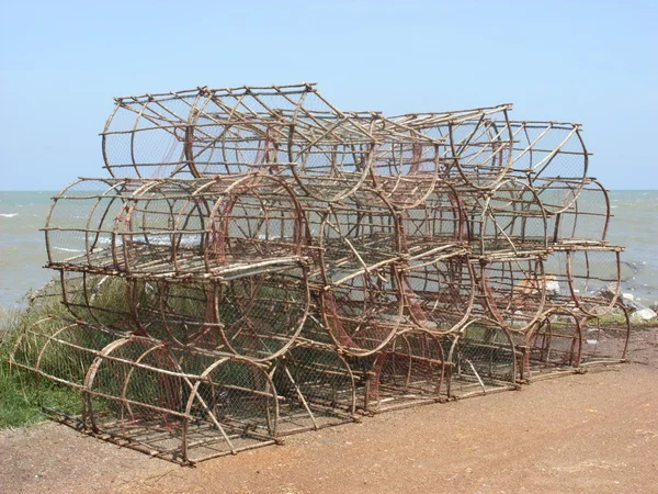 Stock image Crustacean fishing traps