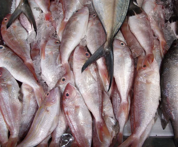 Pescado Recién Capturado Para Venta Mercado Tailandés — Foto de Stock